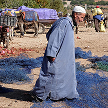 MAROCCO